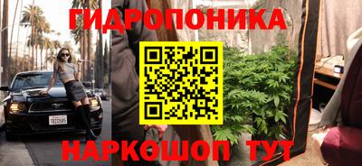 СК Тара